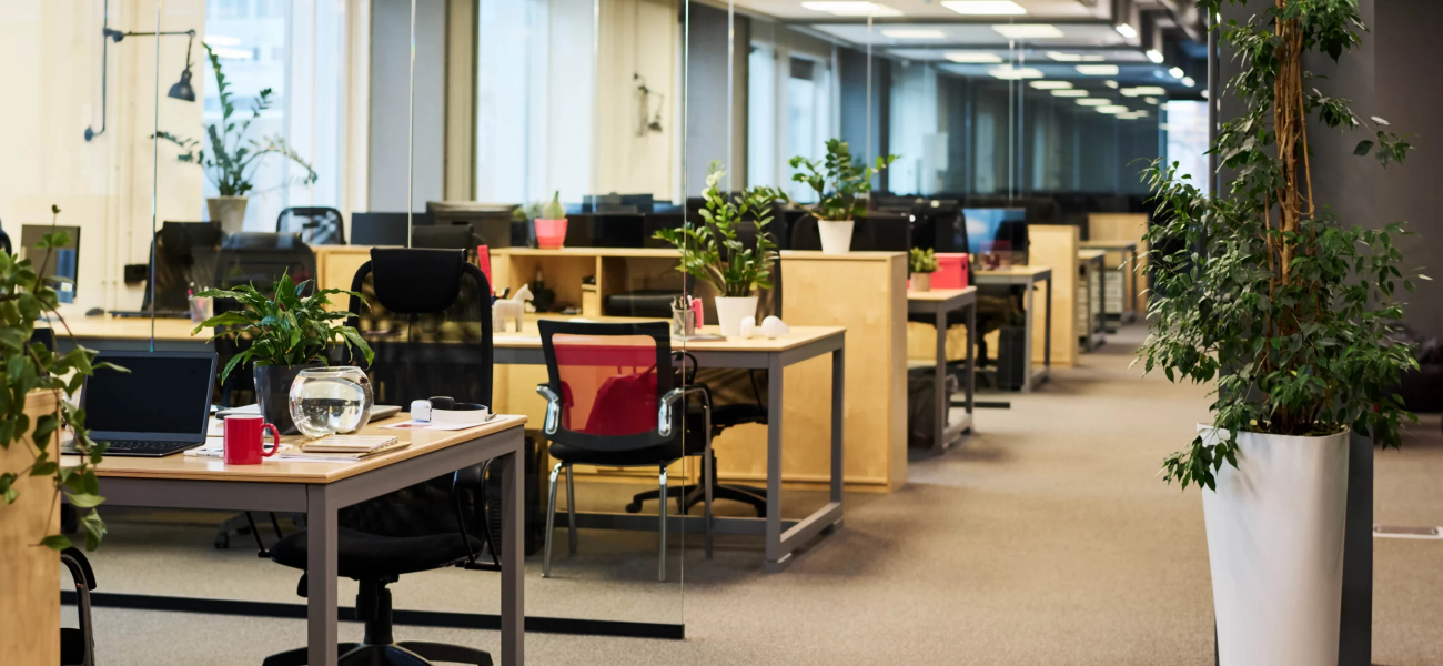 office design trends